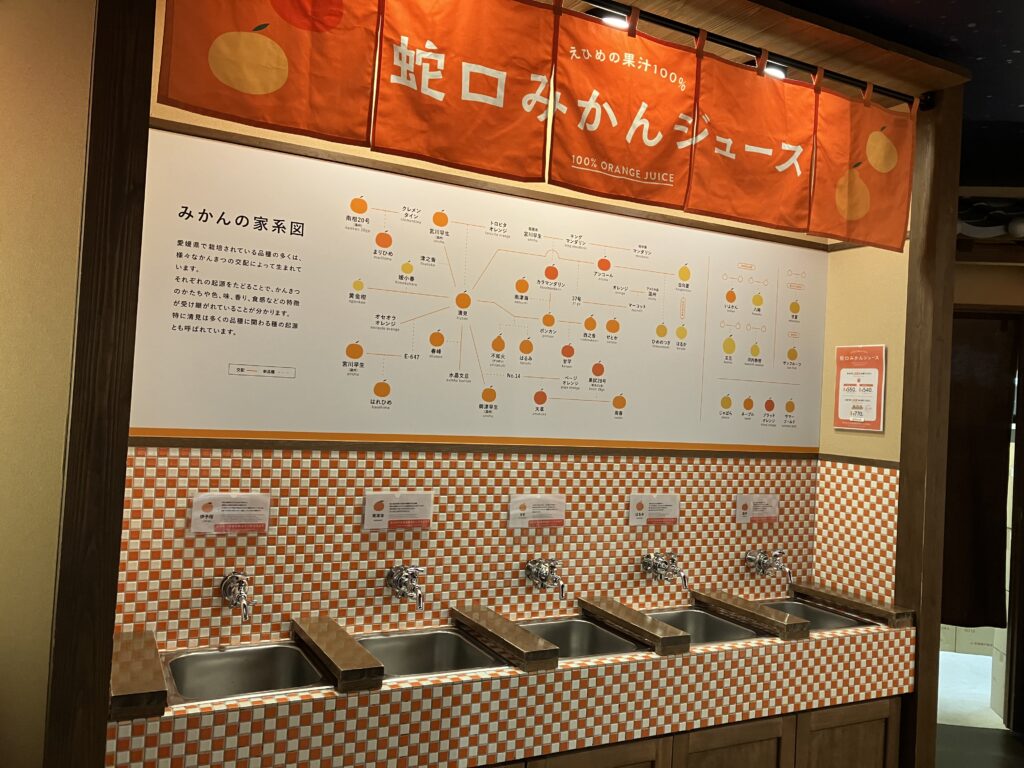 道後温泉商店街