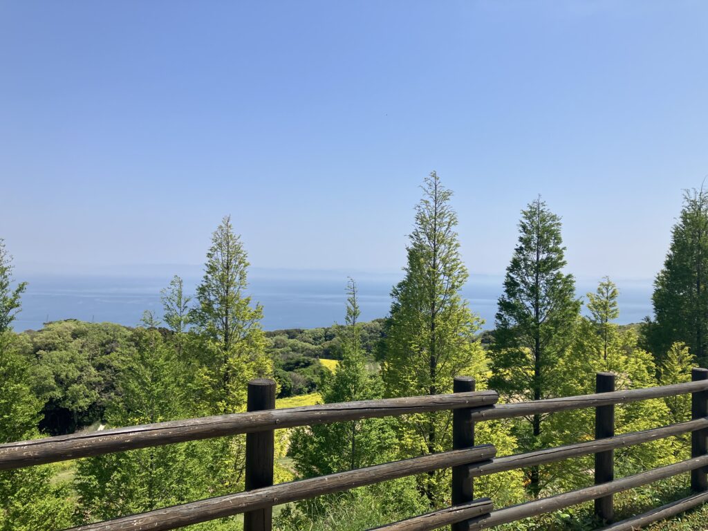 展望