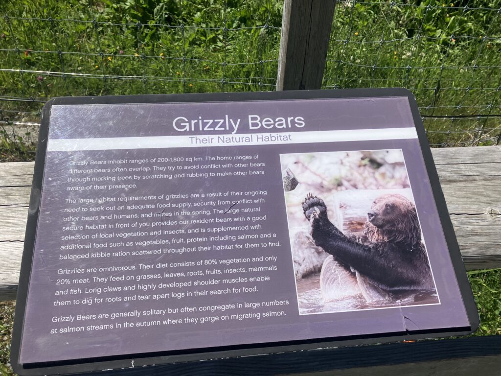クマの生息地