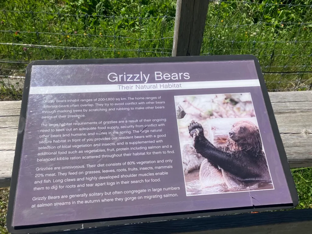 クマの生息地