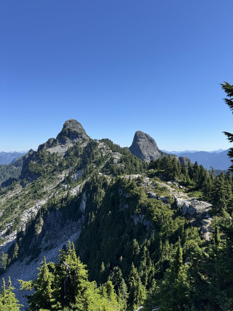 West Lion Twin sisters