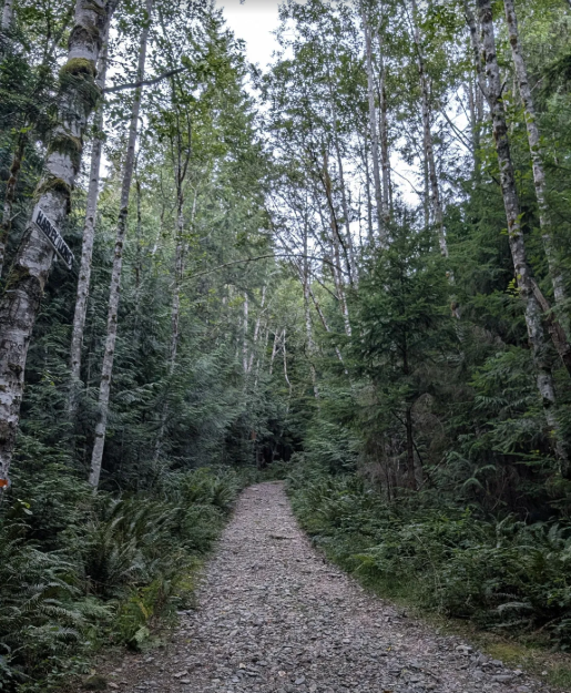 Gravel Service Road