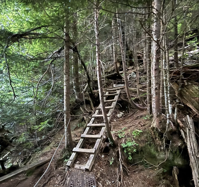 Lion Hiking road