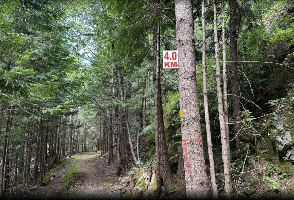 Junction sign 3