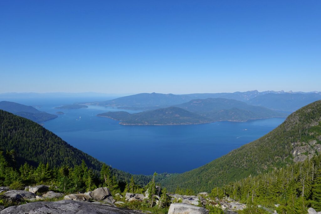 West Lion View