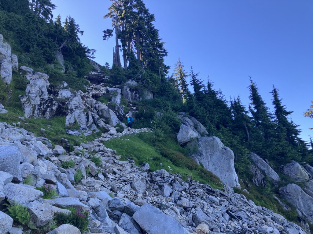 ライオン登山