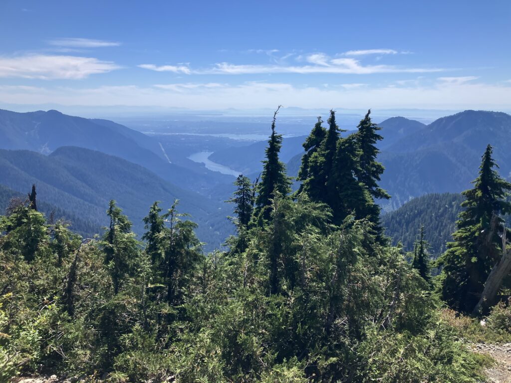 ライオン登山