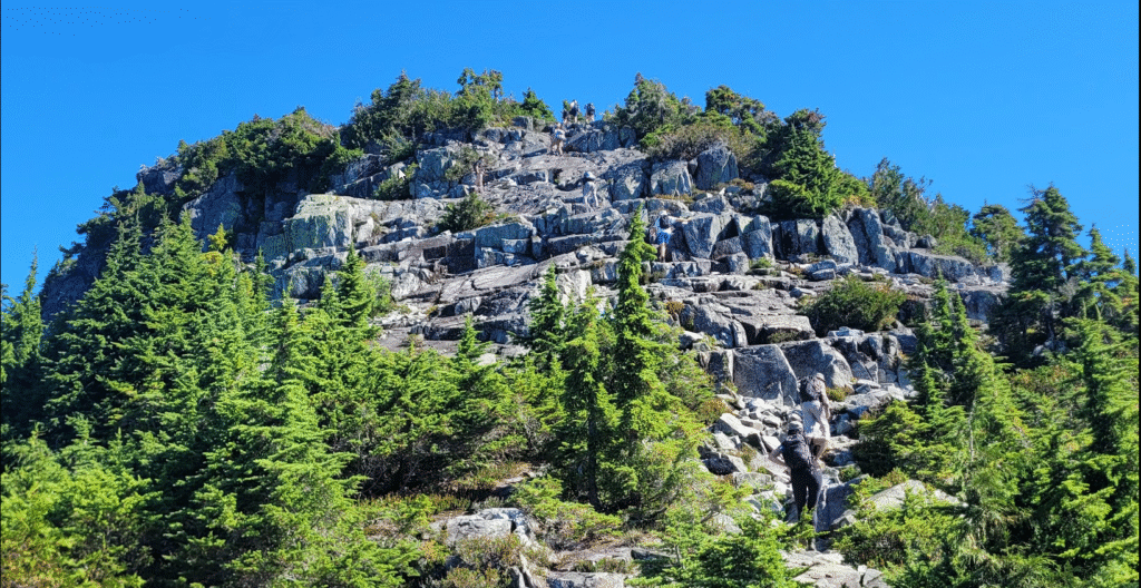 Traces of rockfalls 2