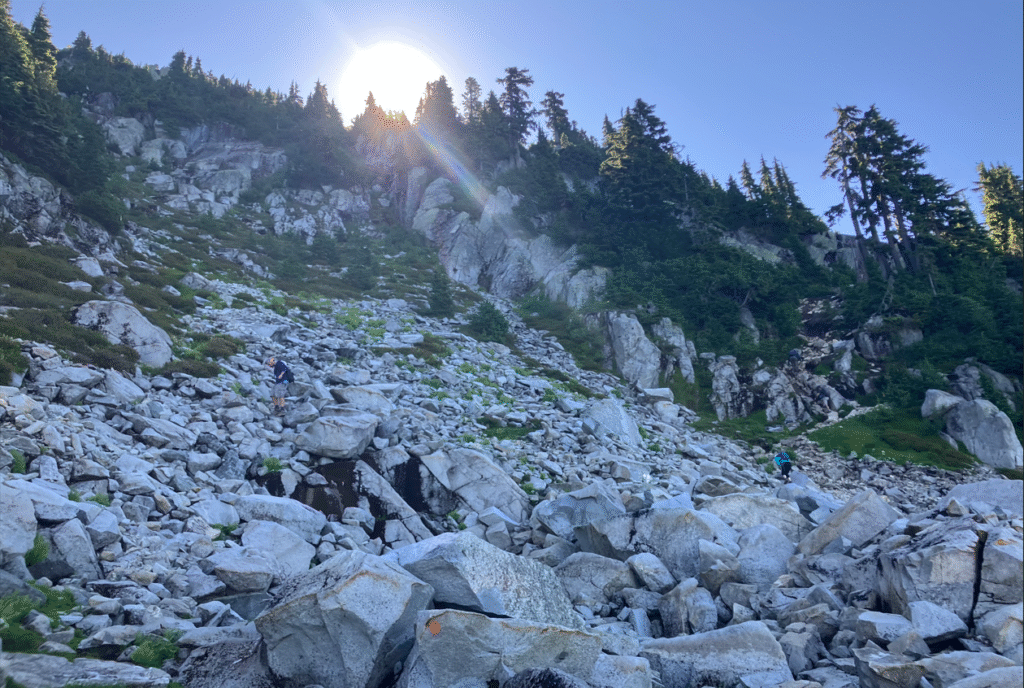 Traces of rockfalls